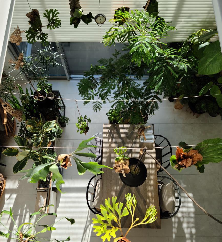 植物育成ライト専門店BARREL公式サイト